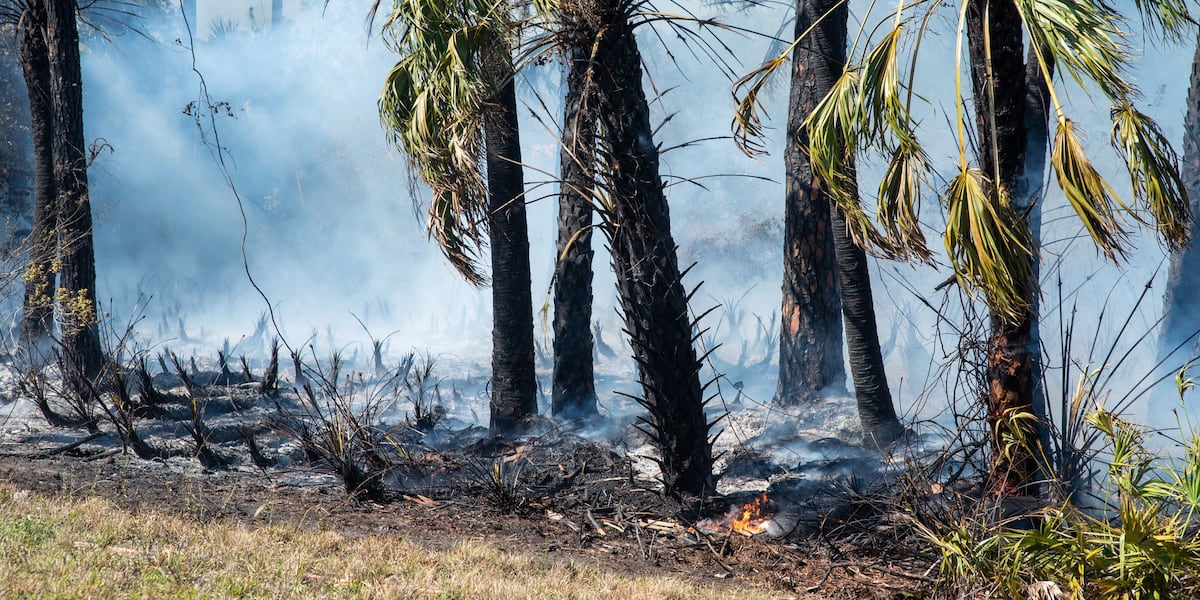 Charlotte County reinstates burn ban