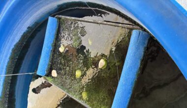 St. Lucie County Mosquito District crews prepare for start of mosquito season