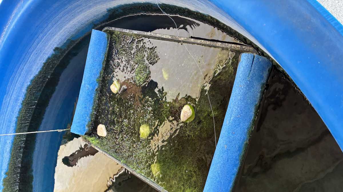 St. Lucie County Mosquito District crews prepare for start of mosquito season