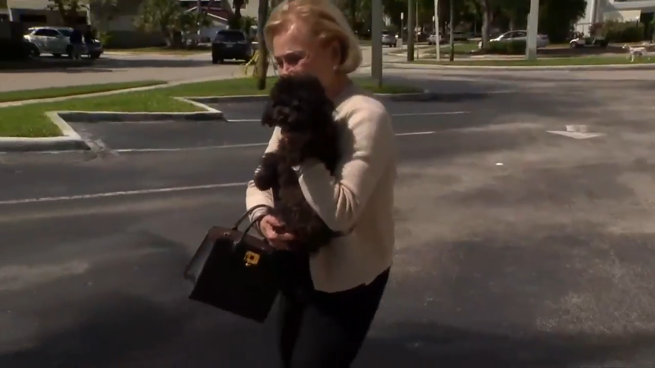 Coco, missing puppy that was inside Bentley stolen in Fort Lauderdale, reunited with owner - WSVN 7News | Miami News, Weather, Sports