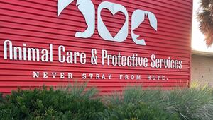 Yahoo lifestyle home