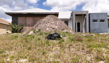 Vacant homes line the streets in some Cape Coral neighborhoods