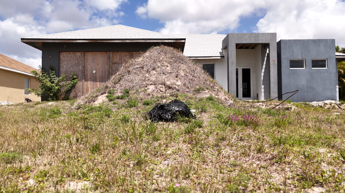 Vacant homes line the streets in some Cape Coral neighborhoods