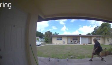 Video leads to arrest after pigeon killed outside Florida home