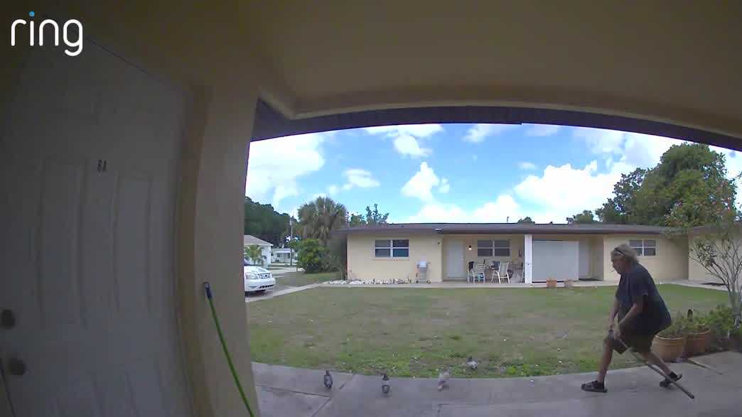 Video leads to arrest after pigeon killed outside Florida home