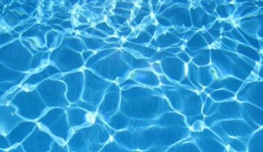 Fun things to do in South Florida