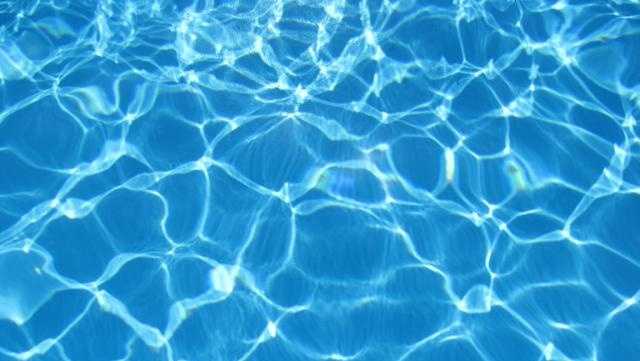 Fun things to do in South Florida