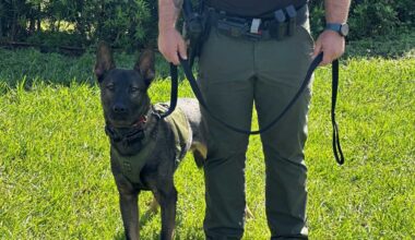 Newest K-9 in Martin County tracks down wanted suspect