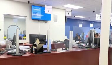 Miami-Dade tax collector’s clerk accused of renewing licenses, issuing driving permits for pay, officials say – NBC 6 South Florida