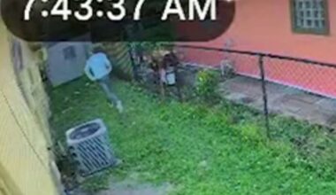 Carjacking suspect fled from officers, crashed in Fort Lauderdale, cops say – NBC 6 South Florida