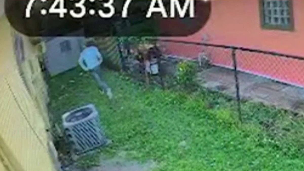 Carjacking suspect fled from officers, crashed in Fort Lauderdale, cops say – NBC 6 South Florida