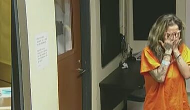 Report details mom’s arrest after 6-year-old found wandering alone in Allapattah – NBC 6 South Florida
