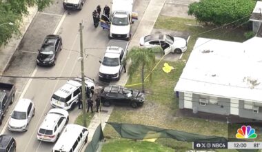2 dogs killed, 2 hurt after owner opened fire during fight in Fort Lauderdale, cops say – NBC 6 South Florida