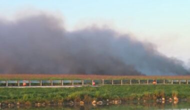 Wildfire burns hundreds of acres south of Tamiami Trail in Miami-Dade – NBC 6 South Florida