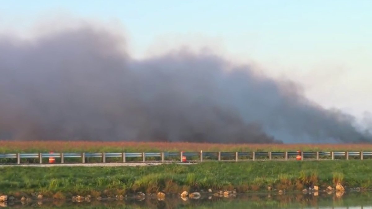 Wildfire burns hundreds of acres south of Tamiami Trail in Miami-Dade – NBC 6 South Florida
