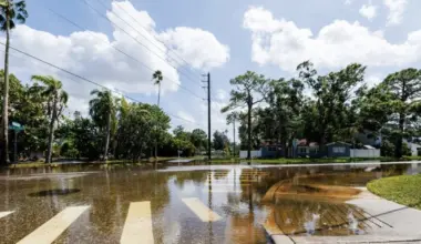 St. Pete eyes $600 million resiliency bond to tackle flooding and harden city infrastructure