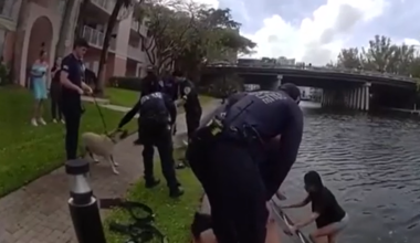 Police rescue Florida woman, dog from canal