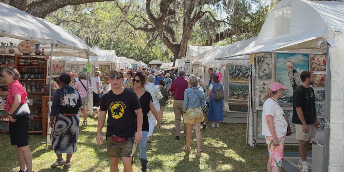 Chain of Parks Art Festival brings hundreds of people on opening day