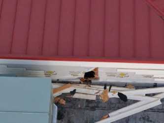 Burglary investigation at Golden Corral in Port St. Lucie