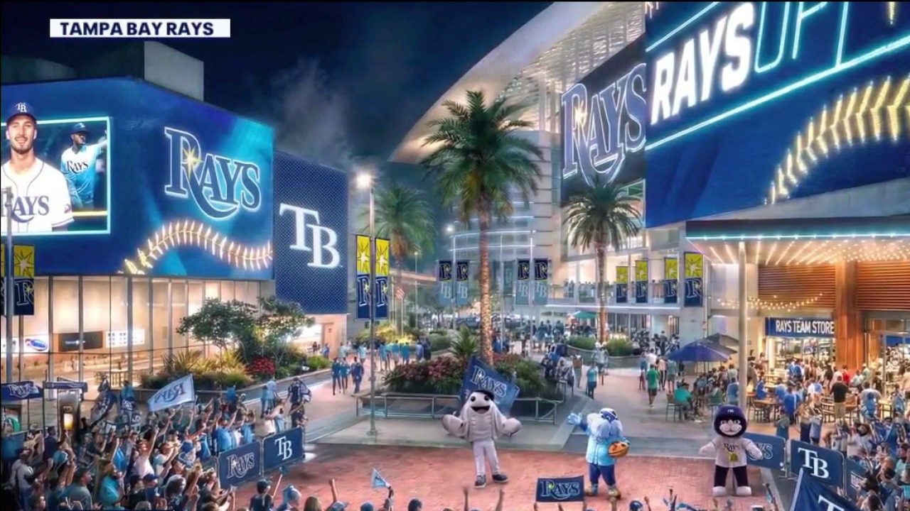 Rays Tampa stadium proposal