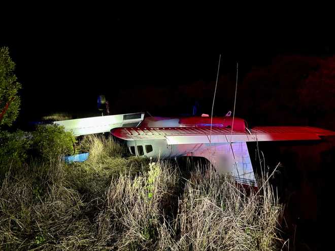 A pilot survived a small airplane crash in the Hungryland Preserve late Saturday night, according to the Martin County Sheriff’s Office.