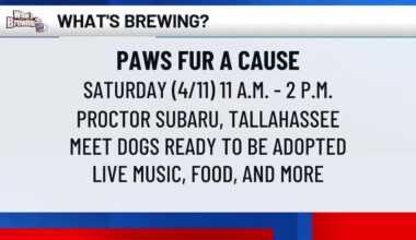 What’s Brewing - Paws Fur a Cause