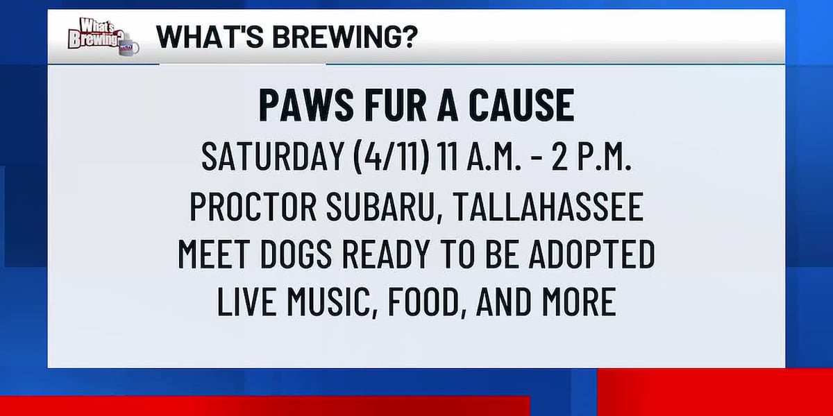 What’s Brewing - Paws Fur a Cause