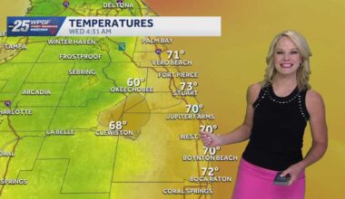 Sunny and Breezy for South Florida