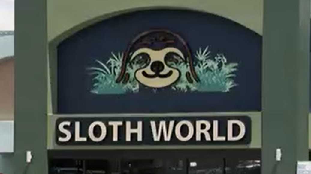 Warehouse permitted for cars, not animals, county says