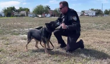 Cape Coral officer and K-9 recognized for valor, named finalist for Officer of the Year
