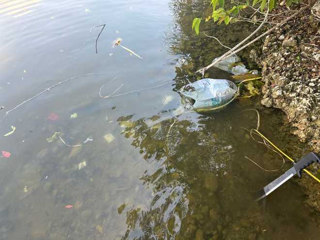 Items found in canal