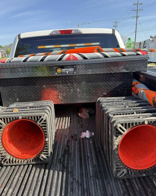 Kittens found in truck