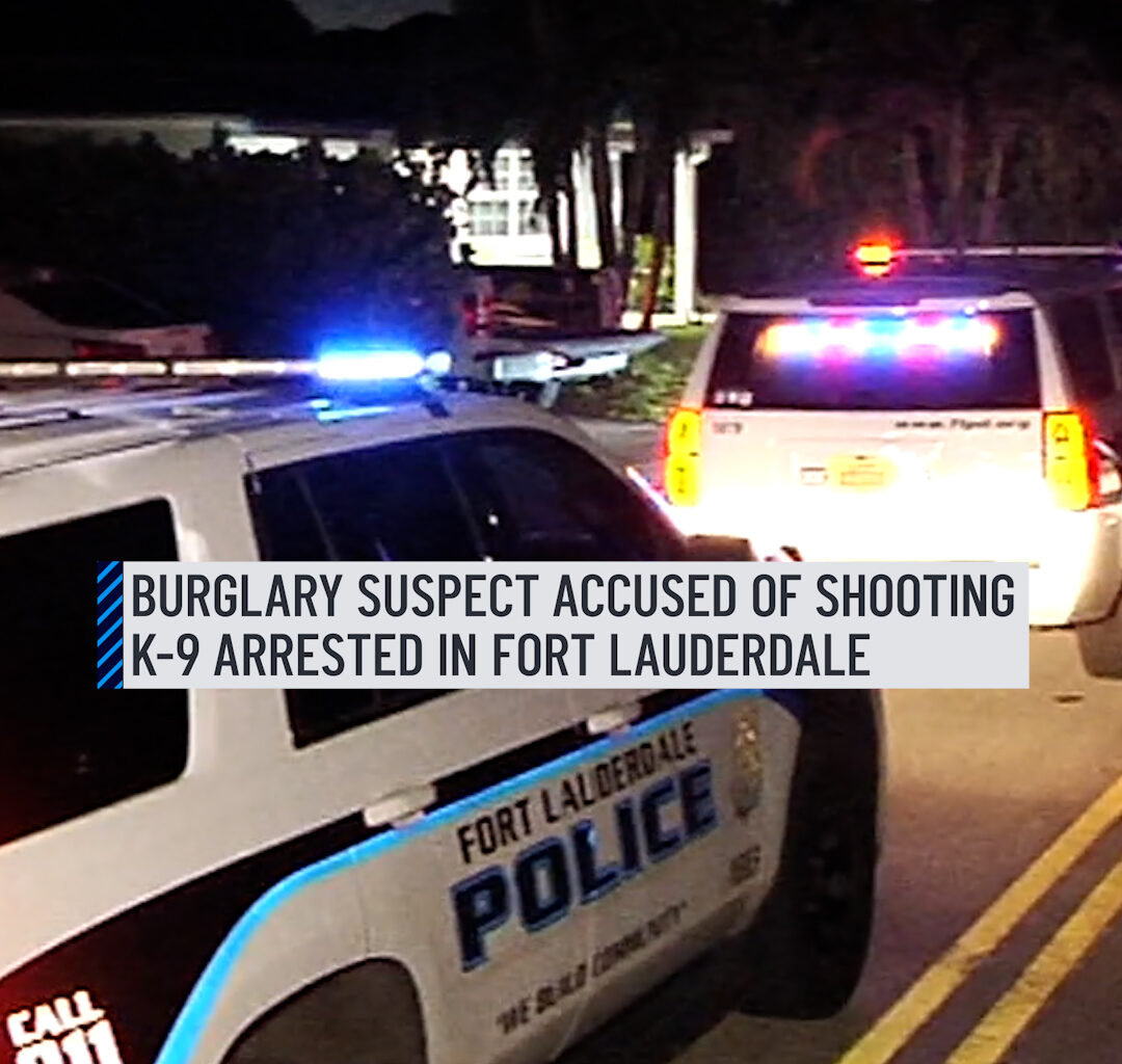 A burglary suspect in Fort Lauderdale accused of trying to run away and shooting a K-9 was arrested, police said. The K-9 was taken to a veterinary hospital for treatment and is expected to be OK. More here: http://on.nbc6.com/WtQsa7Z #k9 #fortlauderdale #police