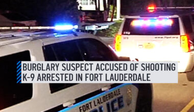 A burglary suspect in Fort Lauderdale accused of trying to run away and shooting a K-9 was arrested, police said. The K-9 was taken to a veterinary hospital for treatment and is expected to be OK. More here: http://on.nbc6.com/WtQsa7Z #k9 #fortlauderdale #police
