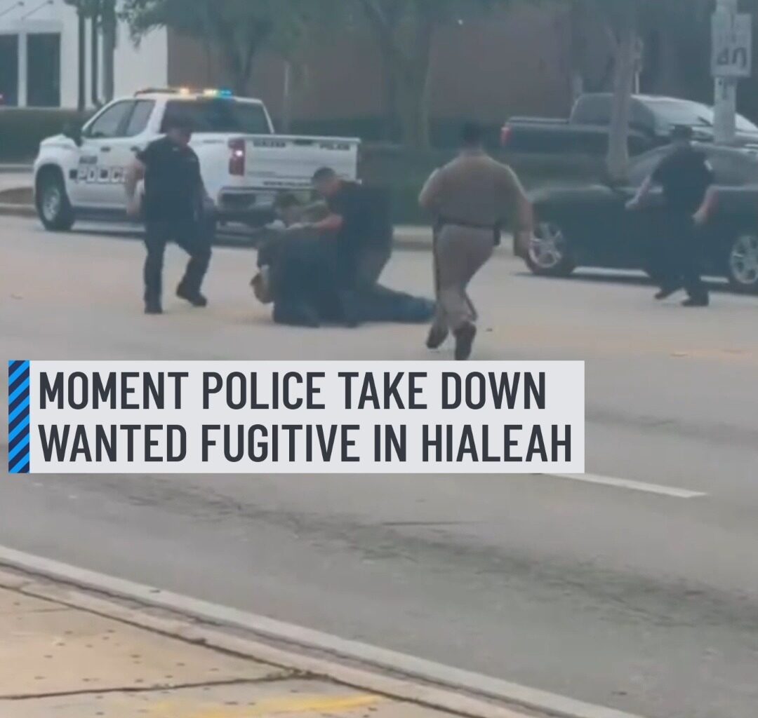 A wanted federal fugitive who led troopers on a pursuit that ended in Hialeah on Wednesday was taken into custody after trying to flee again on Thursday, authorities said.⁠
⁠
Video obtained by NBC6 showed a heavy police presence, including armed authorities running in the area.⁠
⁠
Hialeah Police officials said their K-9 unit assisted FHP in locating the suspect, who tried to resist arrest but was Tased and taken into custody.⁠
⁠
More details: http://on.nbc6.com/hErtX2M
⁠
#wanted #hialeah #police #k9