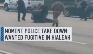A wanted federal fugitive who led troopers on a pursuit that ended in Hialeah on Wednesday was taken into custody after trying to flee again on Thursday, authorities said.⁠
⁠
Video obtained by NBC6 showed a heavy police presence, including armed authorities running in the area.⁠
⁠
Hialeah Police officials said their K-9 unit assisted FHP in locating the suspect, who tried to resist arrest but was Tased and taken into custody.⁠
⁠
More details: http://on.nbc6.com/hErtX2M
⁠
#wanted #hialeah #police #k9
