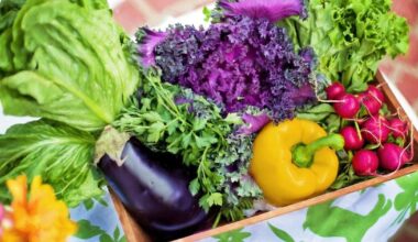 North Fort Myers store offers free produce to help families on SNAP | State