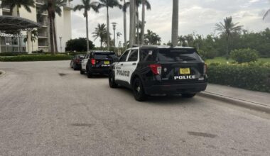 Woman accused of animal cruelty after 2 pets found dead in Fort Myers home | Lee County