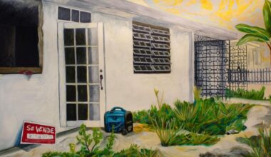 Annual showcase marks a decade of juicy new art at the Morean | Diversions