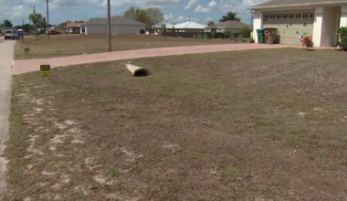 Cape Coral asks residents to water lawns once a week amid drought | Lee County