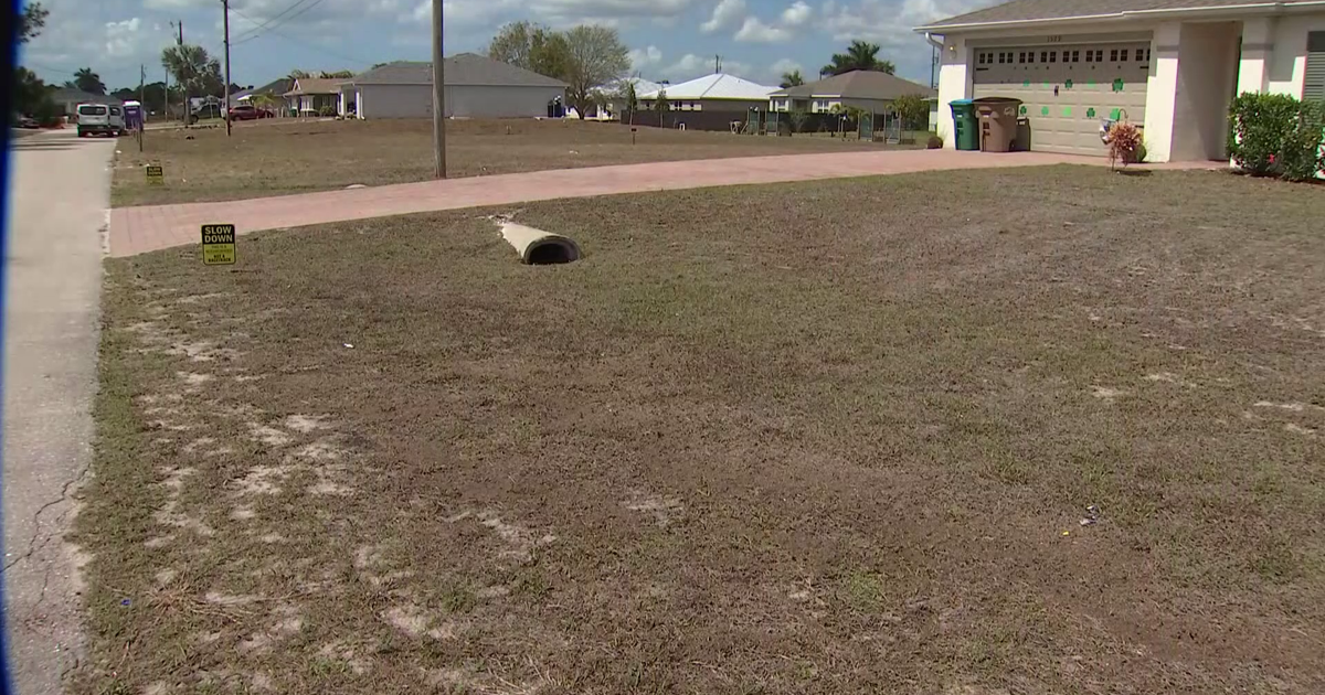 Cape Coral asks residents to water lawns once a week amid drought | Lee County