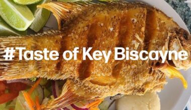 Saturday dining on Key Biscayne | Local