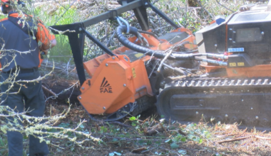 Jacksonville creates defensible space | News