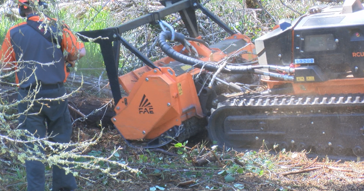 Jacksonville creates defensible space | News