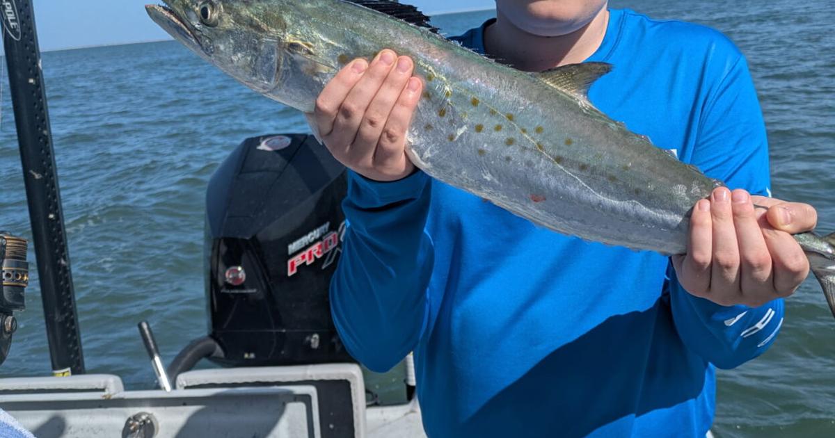 The Tampa Bay Fishin’ Report: Schools of Spanish mackerel moving into the bay | Sports