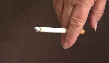 Cigarette butts litter Yellow Fever Creek Preserve, raising fire risk | Lee County