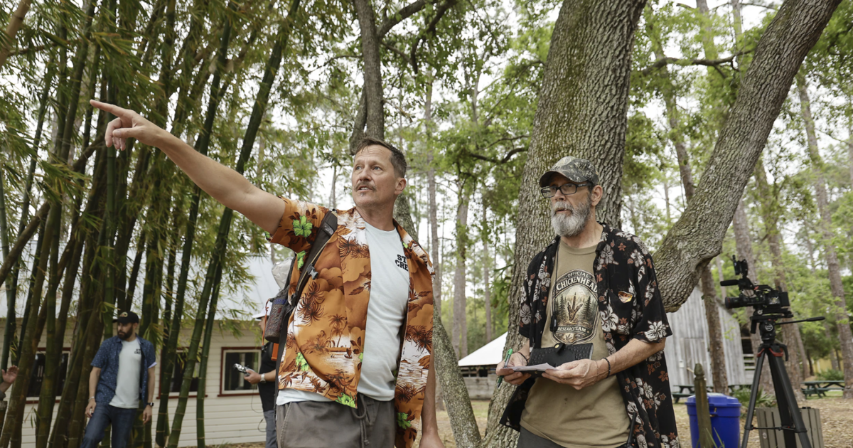 Tara Reid expected to film ‘Chicken Head’ horror-comedy at Pinellas County park | Largo