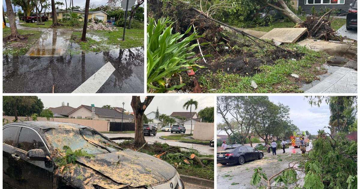 Storm damage prompts flood watch across Miami-Dade | Miami