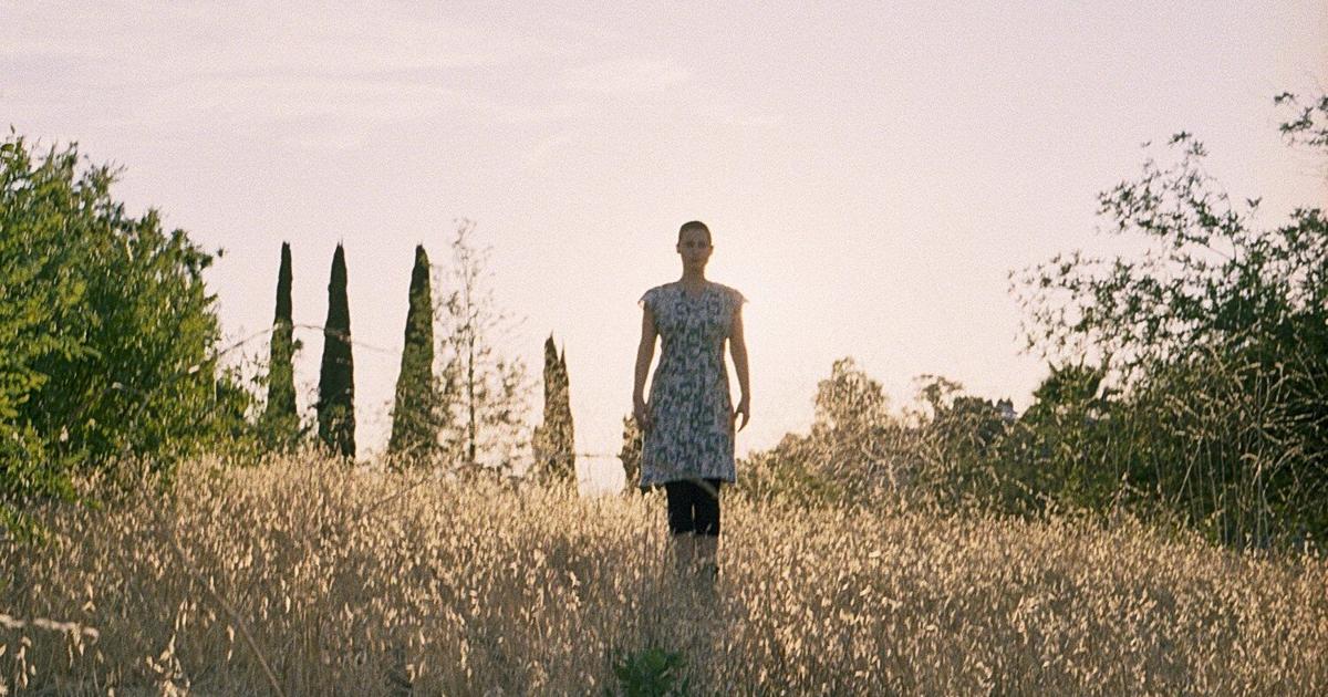 Music Scene: Upcoming concerts and musical performances around Tampa Bay | Diversions