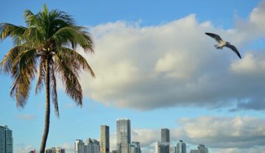 Where Have All the Miami Portfolio Managers Gone?